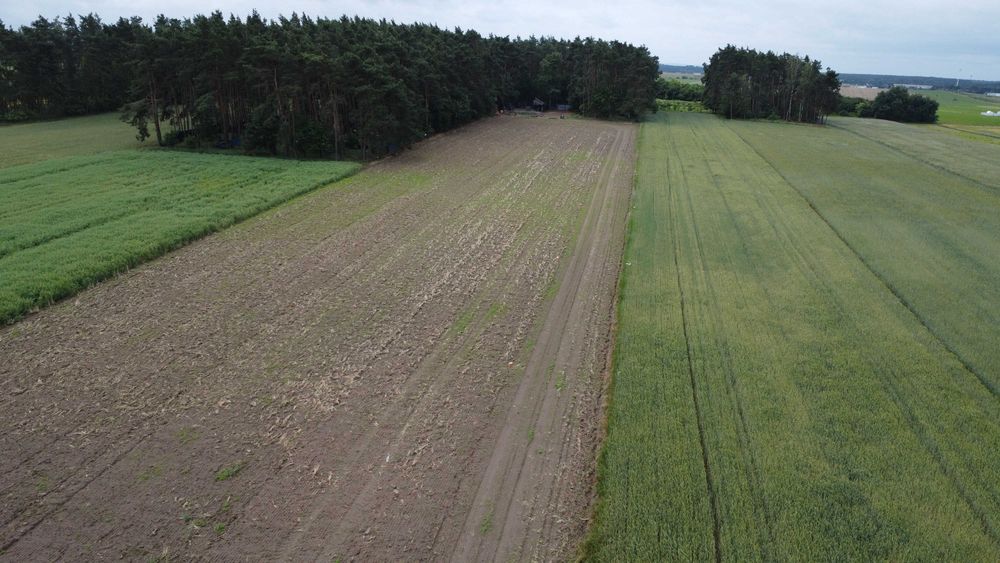 Działka budowlana Drzymałowo przy lesie indywidualne warunki zabudowy - Widok 2