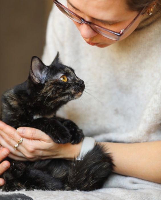 Красотка Галатея, черепашка девочка душа, 9 мес