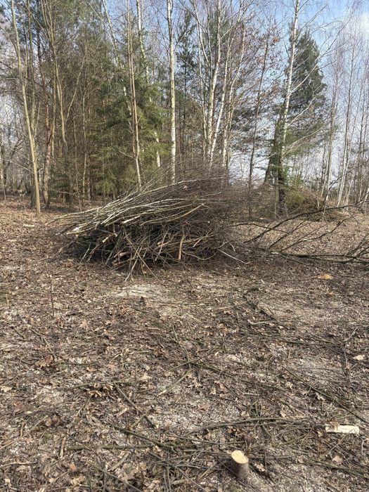 Gałęzie do oddania