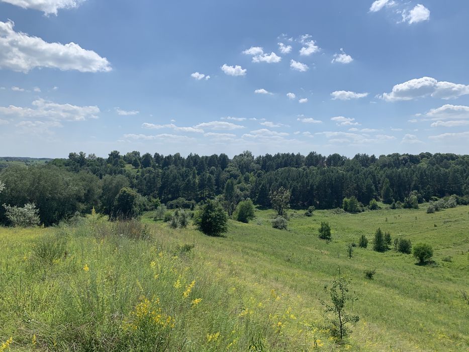 Ржищев 6 га ОСГ , живописно