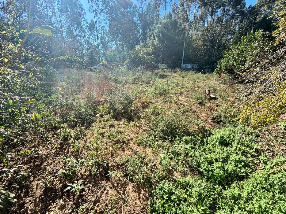 Terreno em Santa Joana, Aveiro
