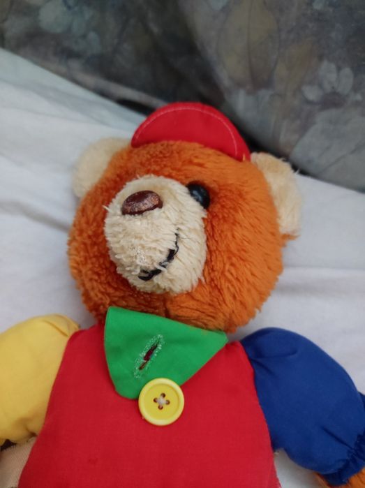 Sprzedam fajnego Misia