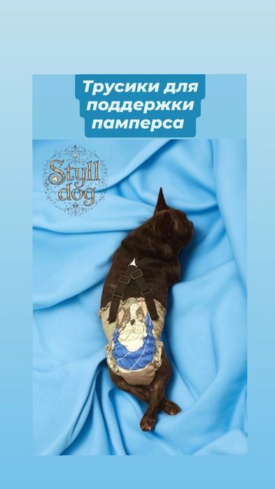 Трусы для собак на подтяжках