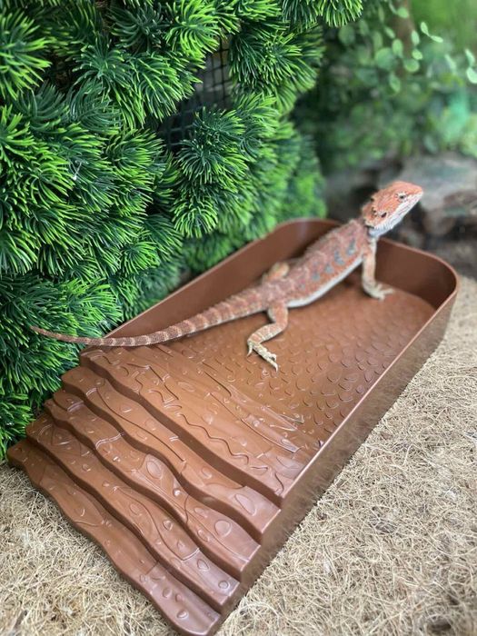 Аксесуари та обладнання для тераріуму