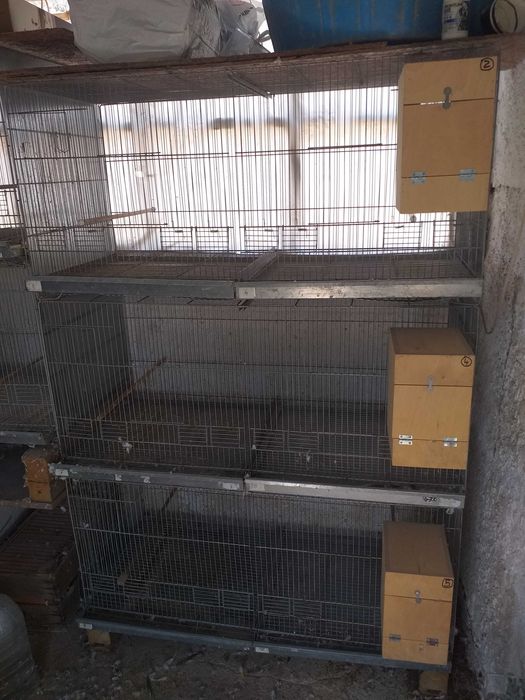 Viveiros para aves