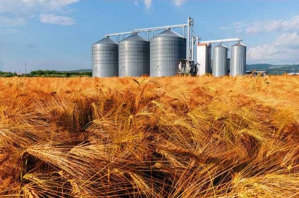 silos lejowy nowy112,6 m³ / 87,83 T – transport + montaż - cała Polska