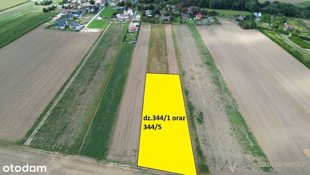 Działki 1,3550 HA oraz dom  i budynki gospodarcze