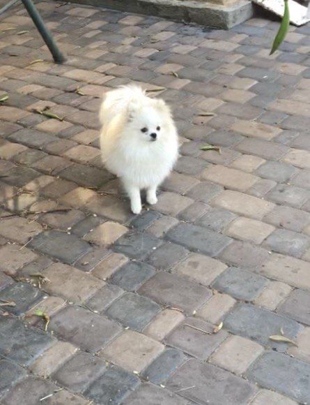 Красунчик хлопчик пів року