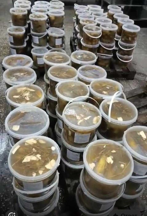 Продаж діючого фермерського комплексу 23,7 га