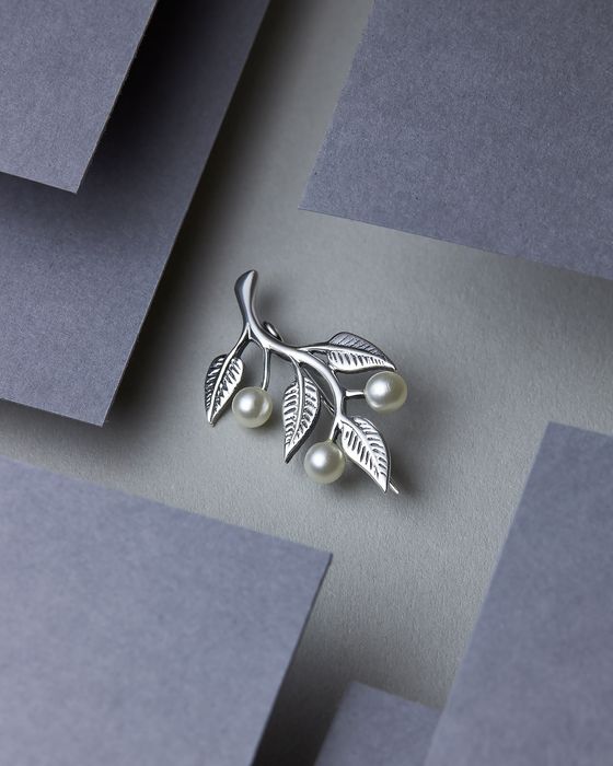 Срібна брошка гілочка