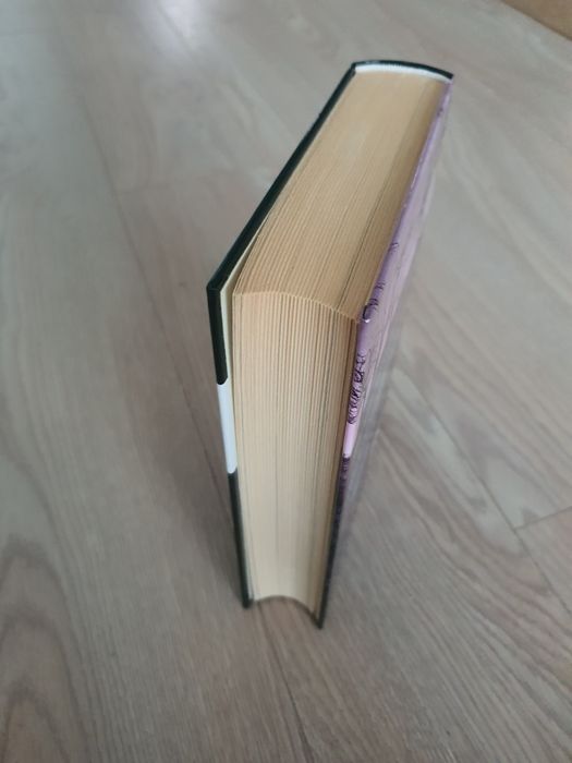 Stephen King Miasteczko Salem Wersja Ilustrowana