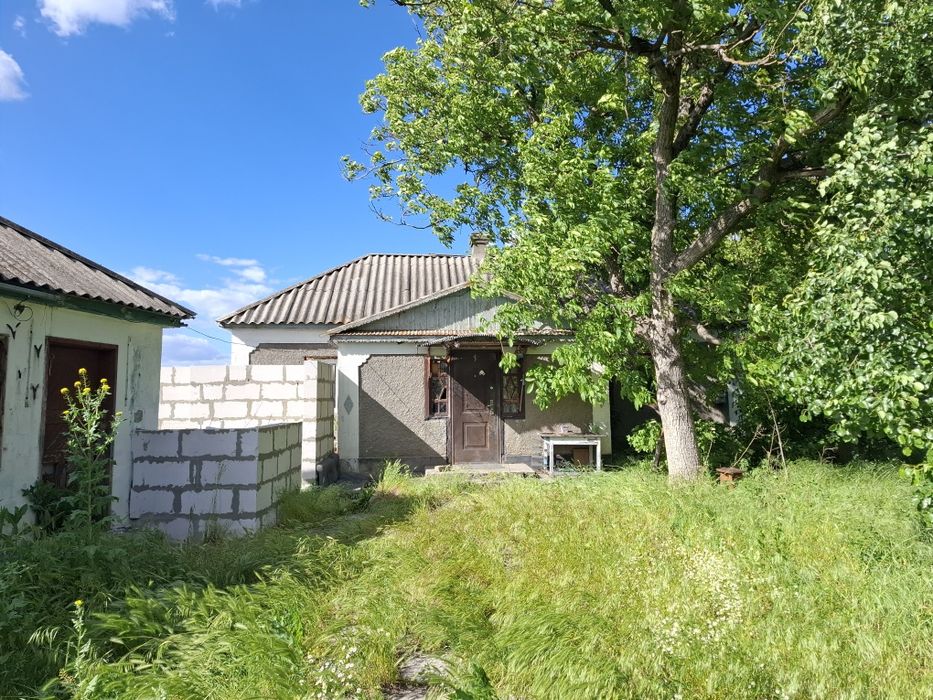 Будинок в селі Катеринка
