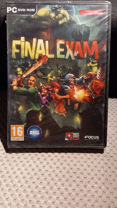 Final example  gra PC