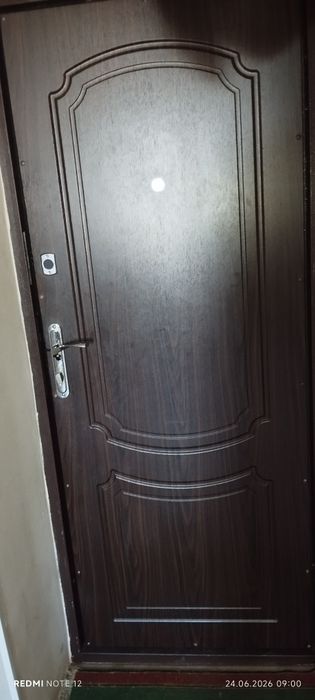 Двері вхідні металеві +вікна м.п