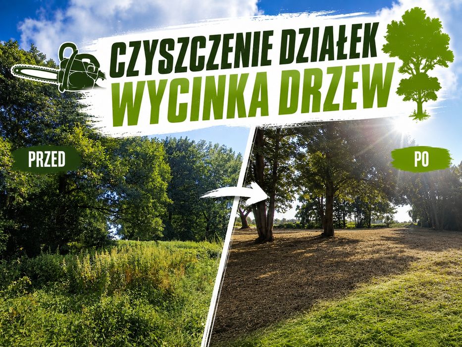 Czyszczenie działek Wycinka drzew Rawicz