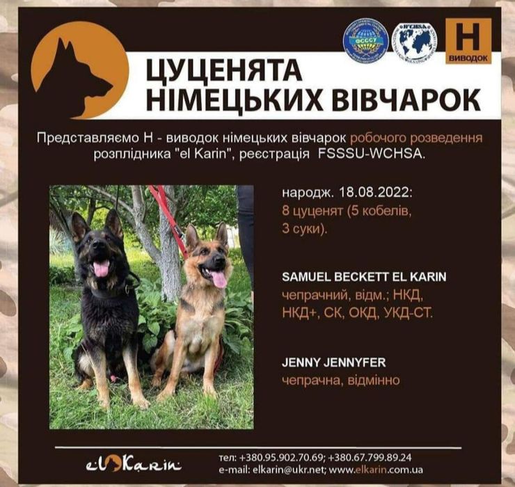 Німецька вівчарка цуценя німецької вівчарки продам