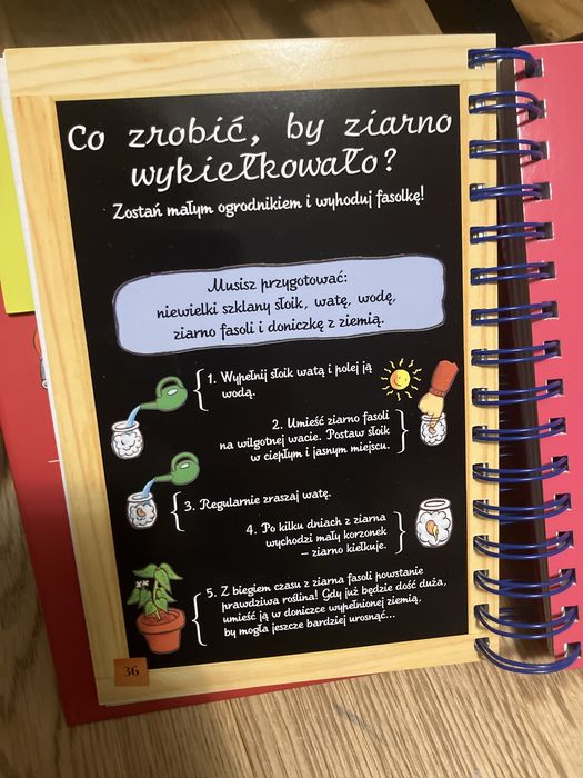 Powiedz mi dlaczego? Książka dla dzieci