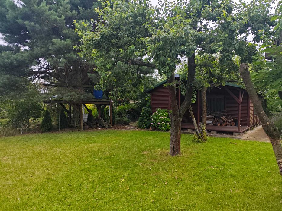 Działka ROD Orłowiec / Drewniany domek / prąd + woda - Widok 4