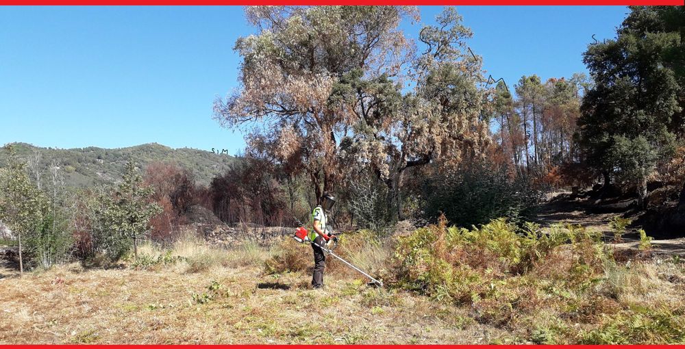 :)  Limpeza De Terrenos  :)