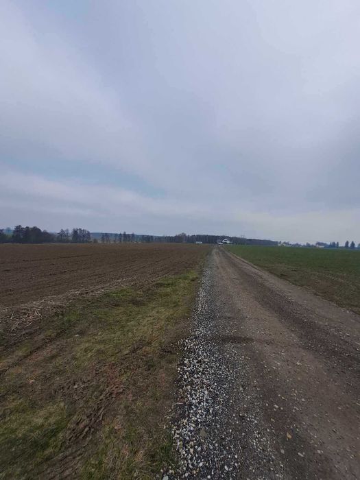 Sprzedam działki budowlane w Dolniku