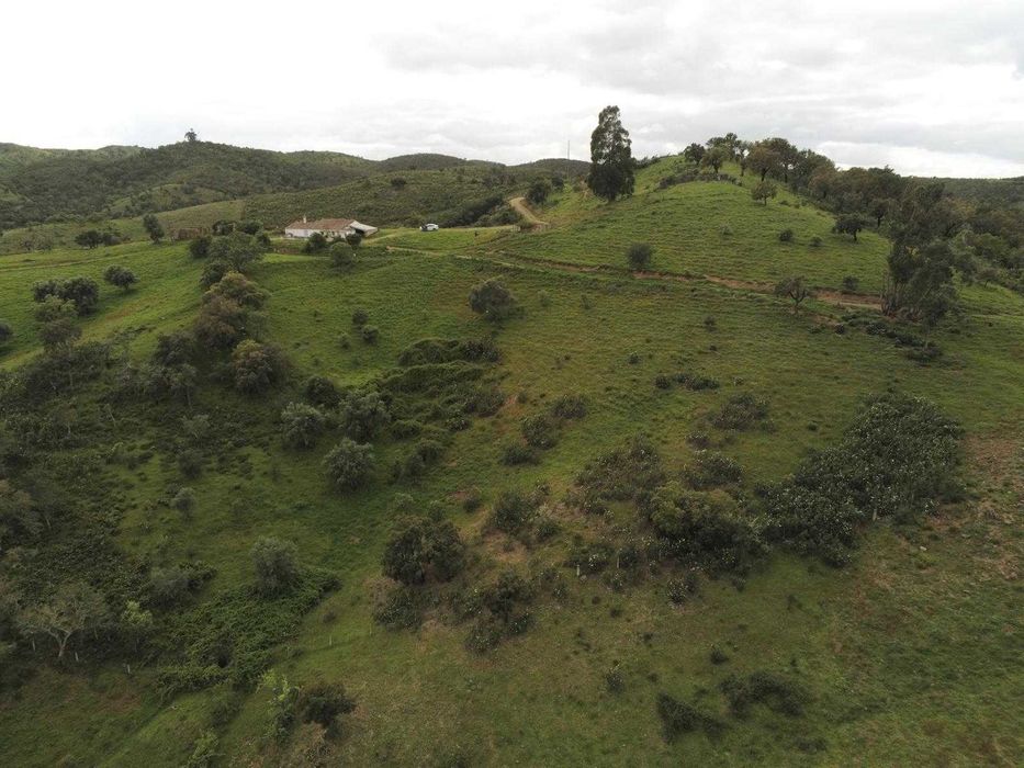 Monte Alentejano em Santana da Serra casa térrea com 78m2 prédio urbano e rústico de 8 hectares