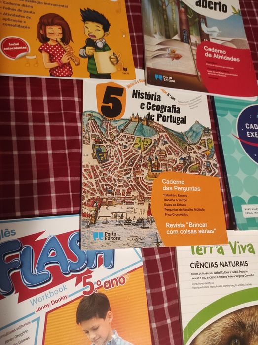 Vendo livros fichas 5 ano