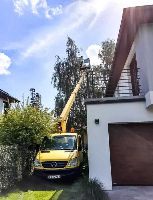 Wycinka i przycinanie drzew Tarczyn | Frezowanie pni
