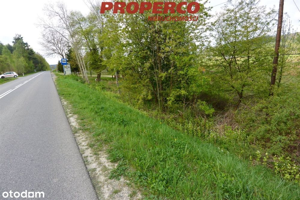 Działka 15600 m2, Nowa Huta, gm. Raków