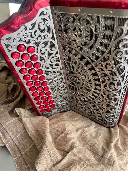 Vendo Concertina como Nova Pouco Uso E’ Uma Super Organola Semi Nova