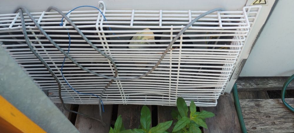 Sprzedam  lodów na napoje z szyba