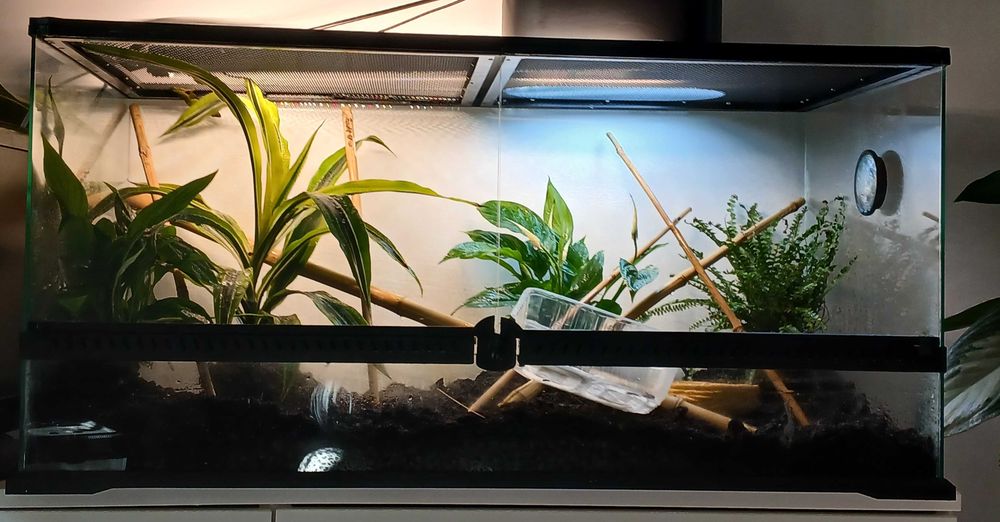 Terrarium dla gekona