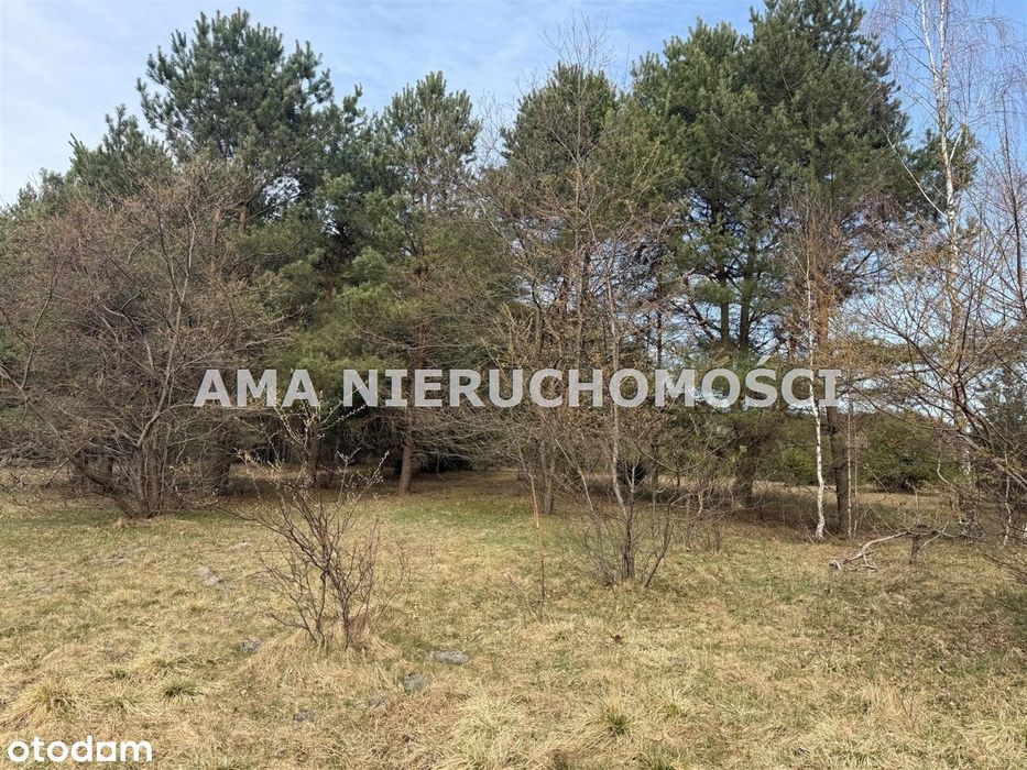 Działka o wielu mozliwościach w otulinie lasów - Widok 5
