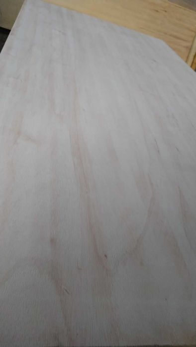 Bardzo lekka sklejka egzotyczna do zabudowy kamperów - FALCATA 12mm