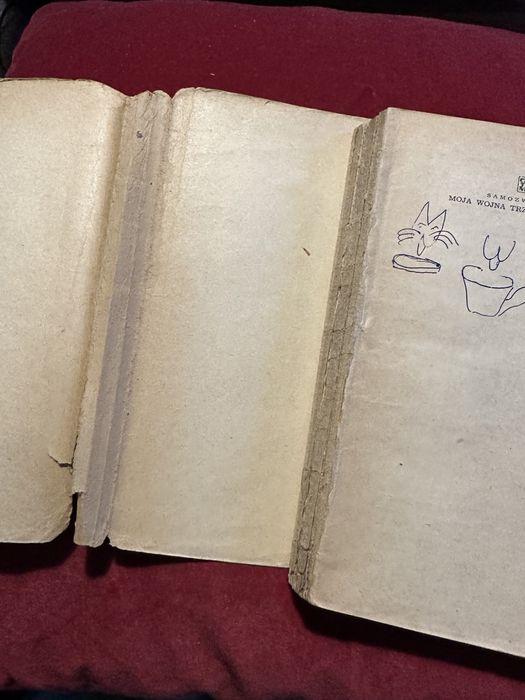 Moja wojna trzydziestoletnia - Magdalena Samozwaniec