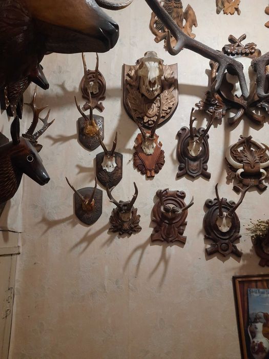 Трофейна колекція