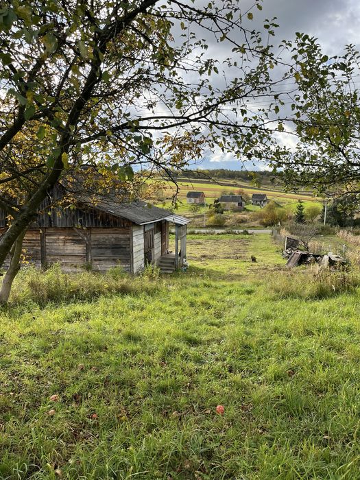 Будинок з земельною ділянкою