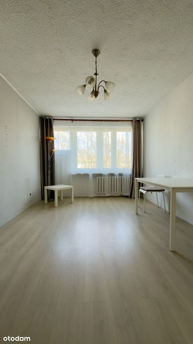 Jasne i ciche mieszkanie 3 pok. + osobna kuchnia, bezpośrednio