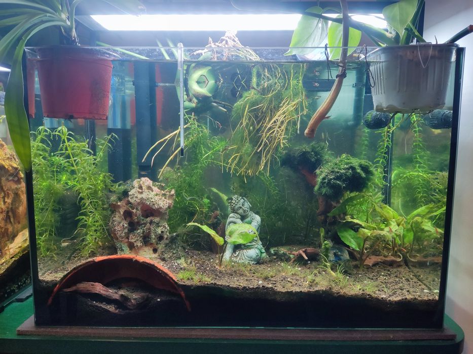 Akwarium 70l stabilne