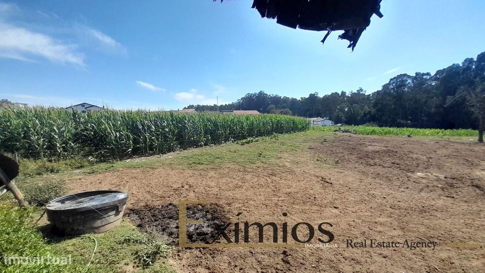 Quinta com 19.600m², situada na Maia