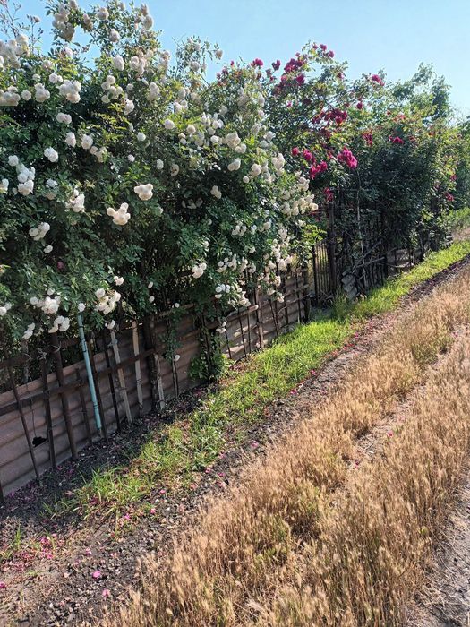 Продам Дачу на Югокі