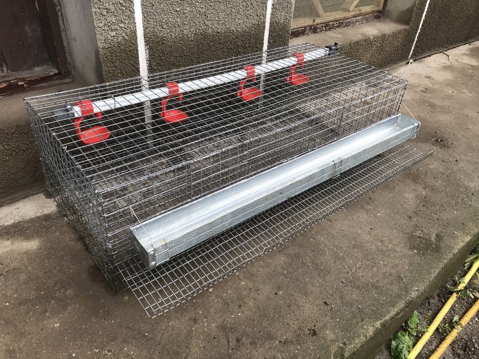 Клітка для перепілок