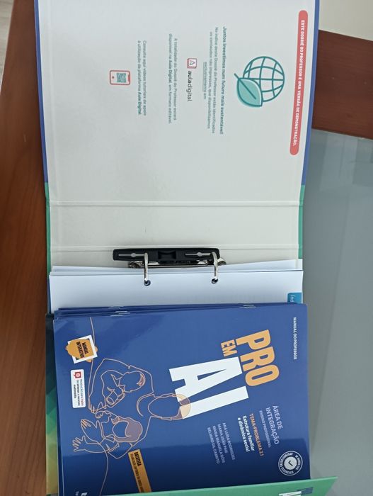 PRO em AI 2º Ano E. Profissional Texto Dossier do professor  NOVO!*