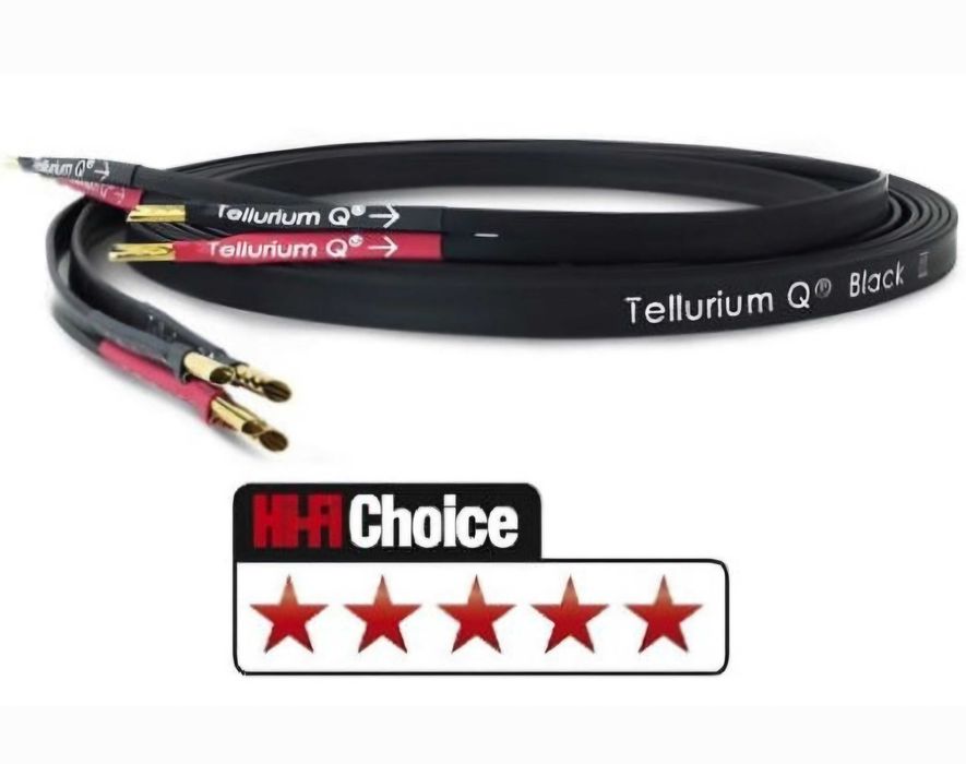 Nowe Ricable Invictus Speaker Reference mkII - 2x2m | sklep WROCŁAW