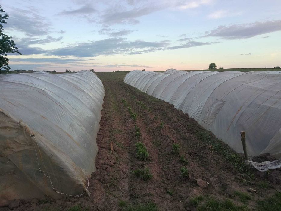 Tunele foliowe 3sztuki