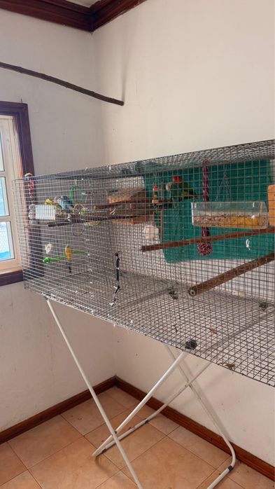 Grande Viveiro / Gaiola para Aves (1.60m) + Acessórios