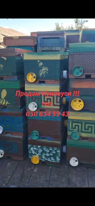 Нуклеуси  для обліта бджоло маток