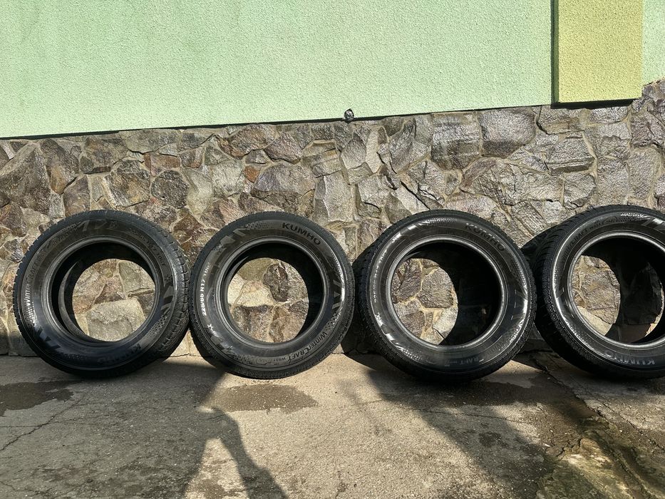 Шини зимові 225/66R17