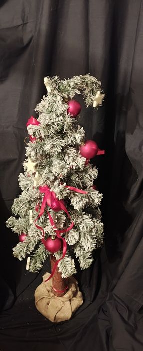 Choinka na pniu  120