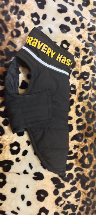 Пуховик Bobby Bravery для собак