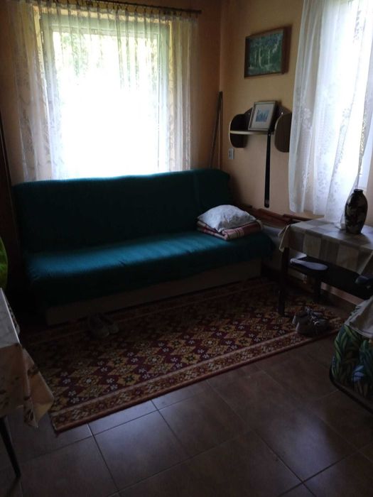 Ogródek Działkowy ROD przy ŚCIANIE LASU Białystok/Wasilków - Więcej
